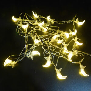 Luces de Navidad Luna Cálida G69-001K5