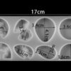 Molde de Silicona p/Resina Diferenes Formas 001J10 - Imagen 3