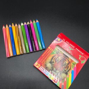Lapices chicos de color 12u 0061