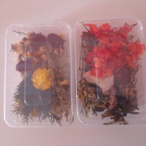 Flores secas