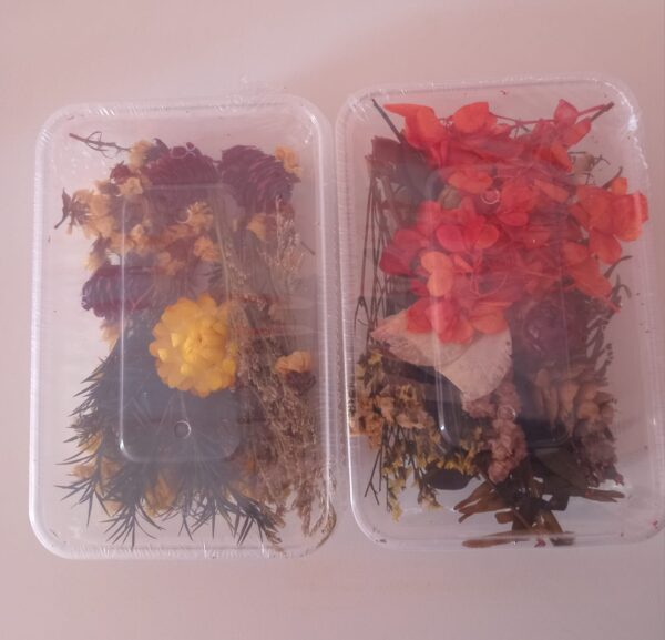 Flores secas